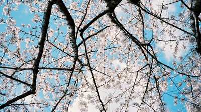 不求上进的玉子剧照的剧照