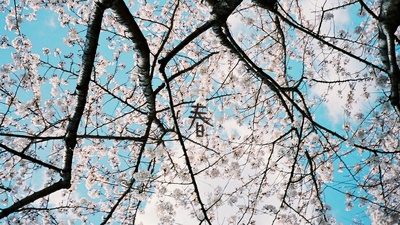 不求上进的玉子剧照的剧照