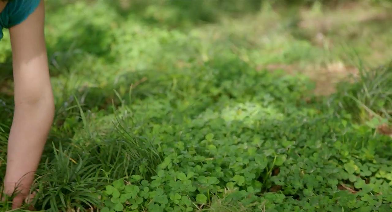 我的初恋情人剧照的剧照