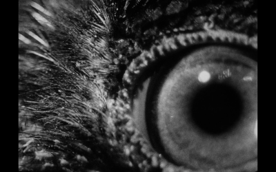 豺狼时刻剧照的剧照