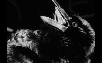 豺狼时刻剧照的剧照