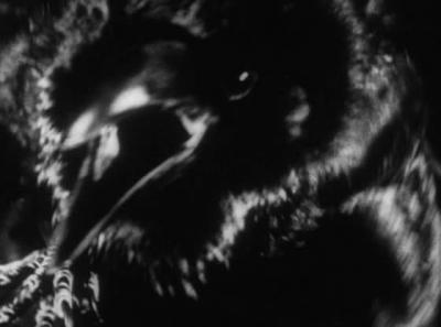 豺狼时刻剧照的剧照