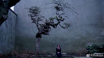 探戈，加德尔的放逐剧照的剧照