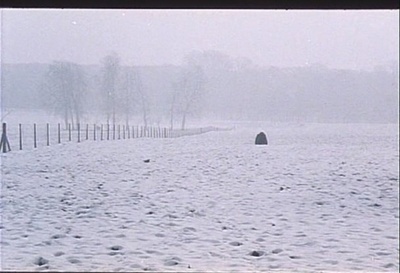 探戈，加德尔的放逐剧照的剧照