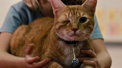 天才少女剧照的剧照