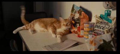 天才少女剧照的剧照