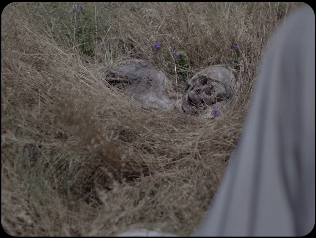 鬼魅浮生剧照的剧照