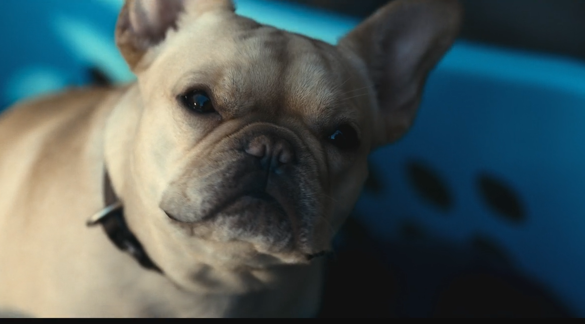 极线杀手剧照的剧照