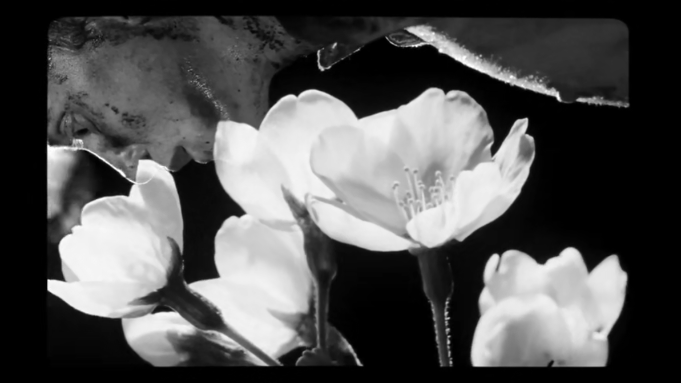 野小子们剧照的剧照