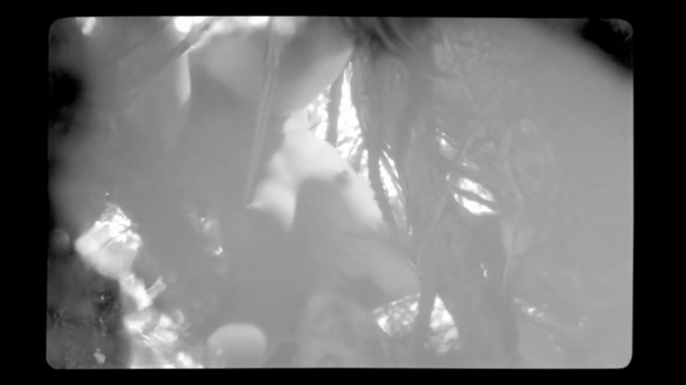 野小子们剧照的剧照