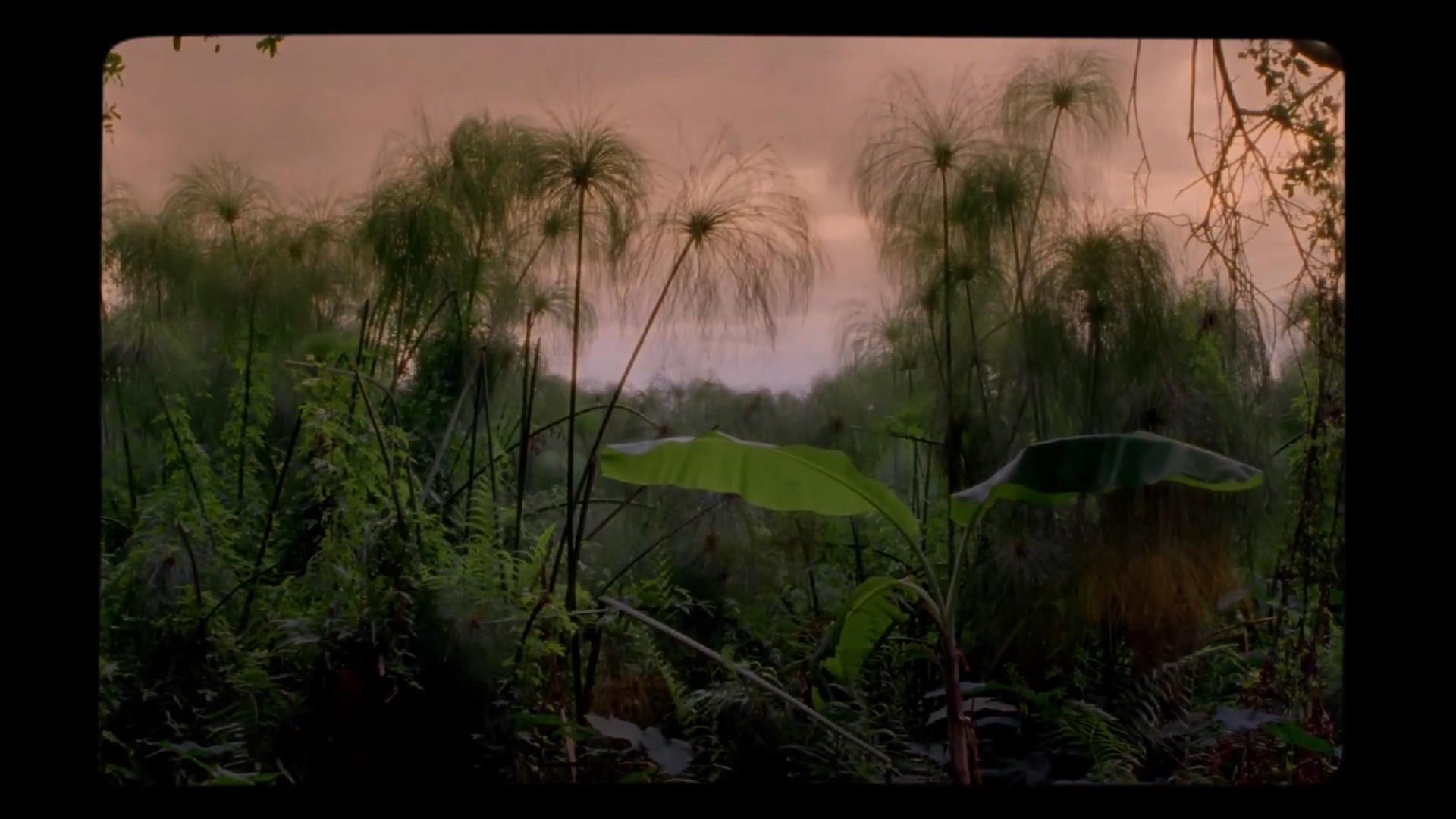 野小子们剧照的剧照