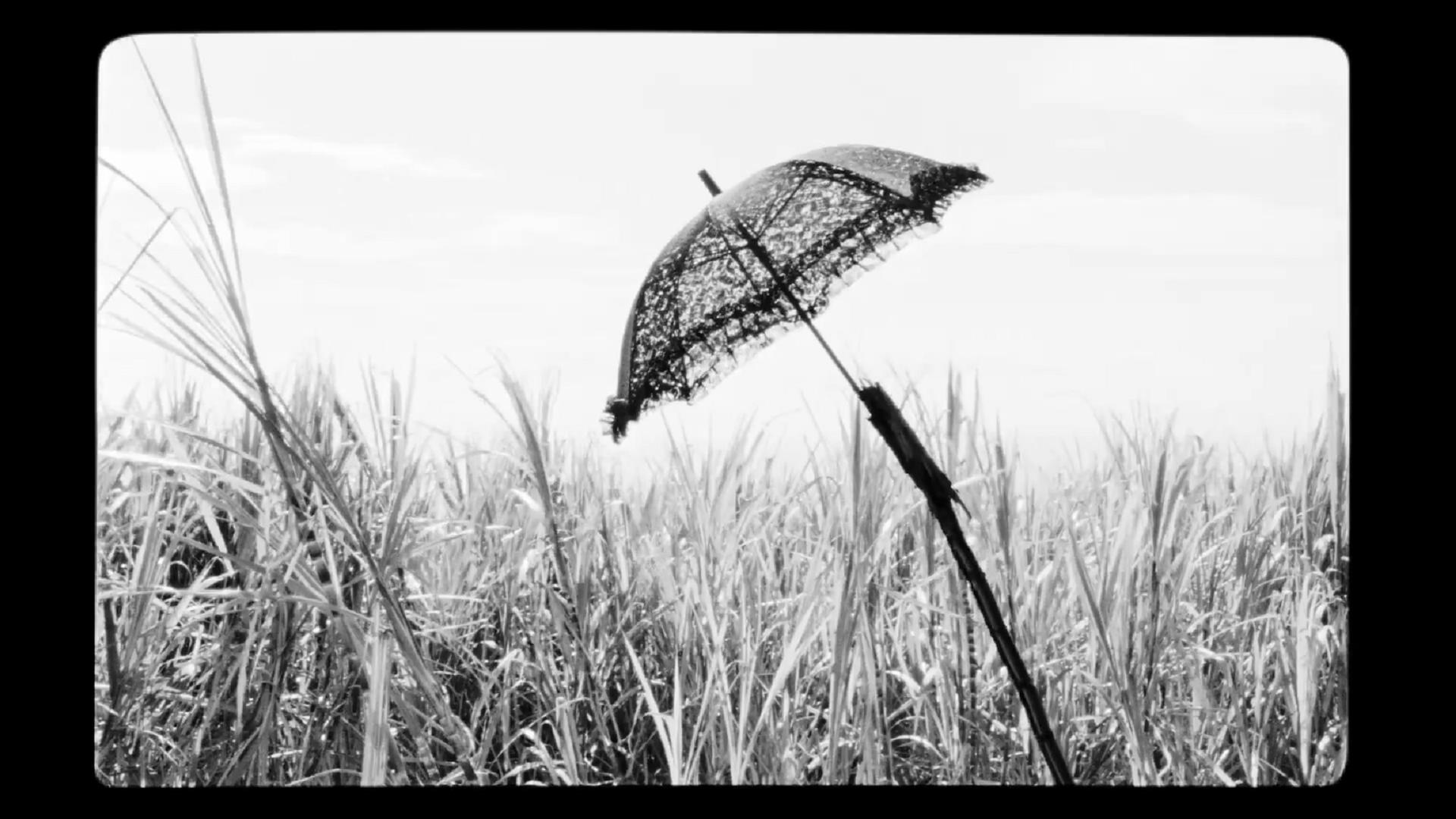 野小子们剧照的剧照