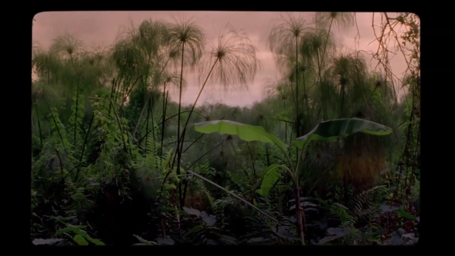 野小子们剧照的剧照