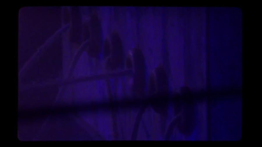 野小子们剧照的剧照