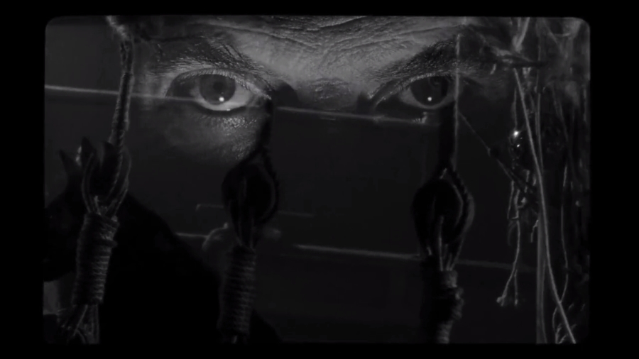 野小子们剧照的剧照