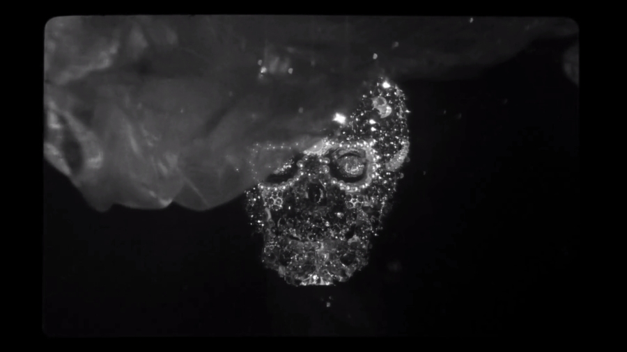 野小子们剧照的剧照