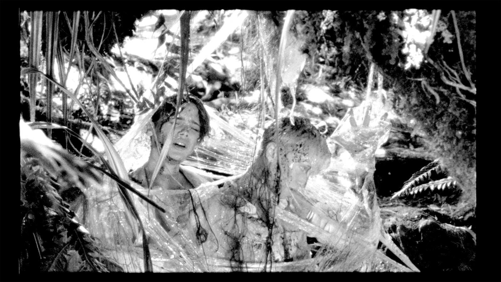 野小子们剧照的剧照