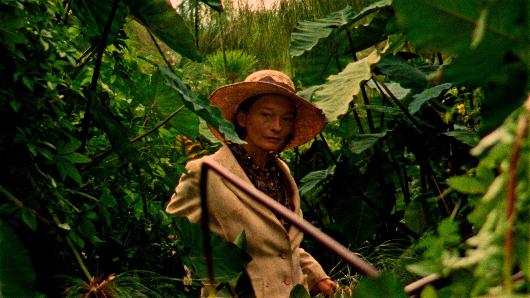 野小子们剧照的剧照