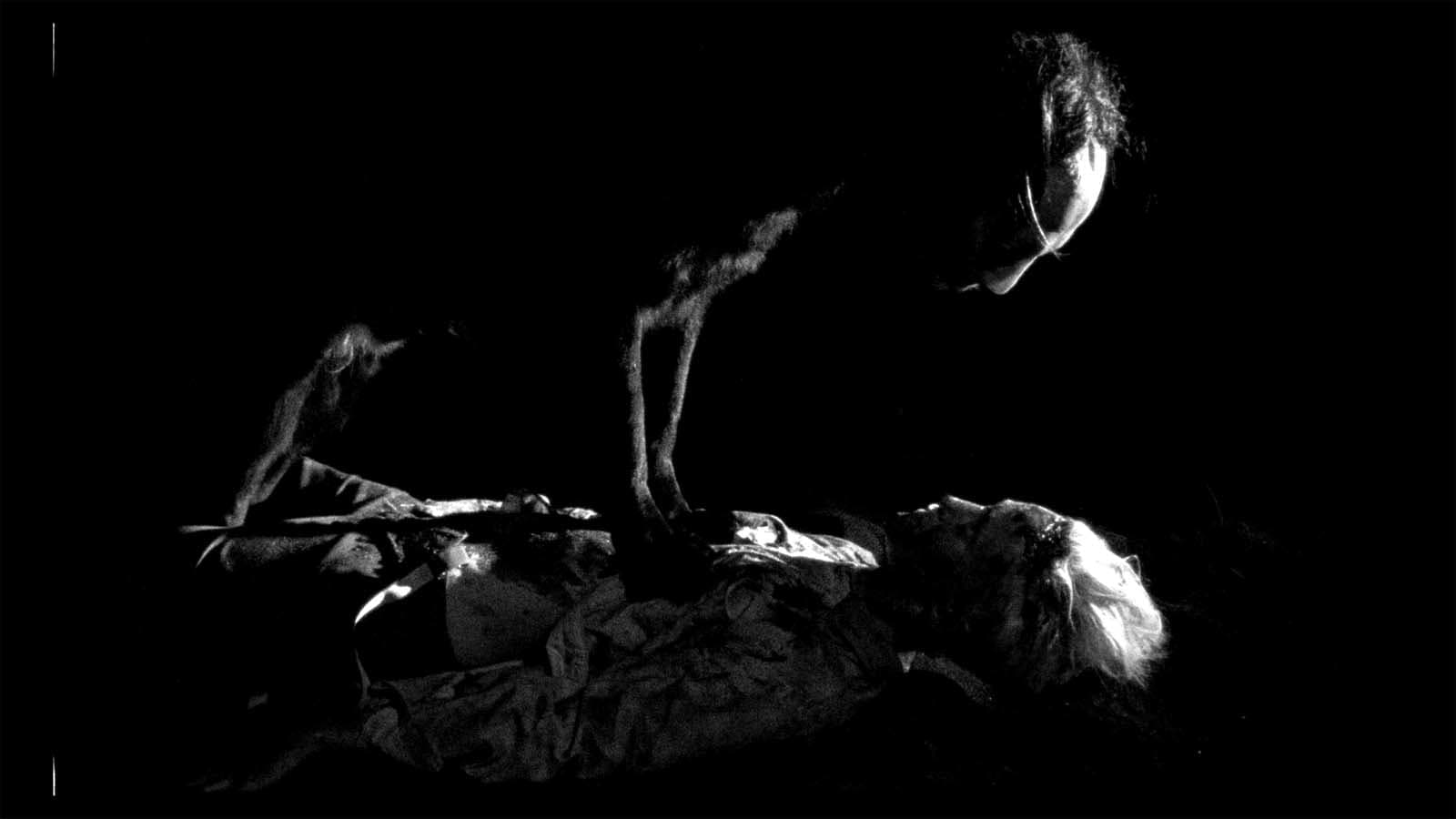 野小子们剧照的剧照