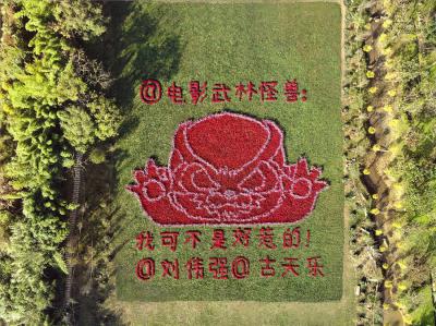 武林怪兽剧照的剧照