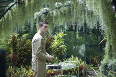 同等族群剧照的剧照