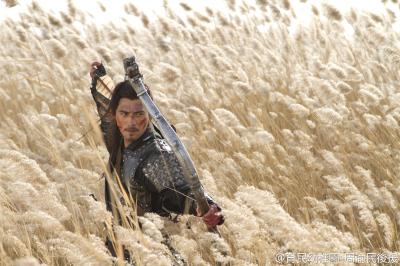 忠烈杨家将剧照的剧照