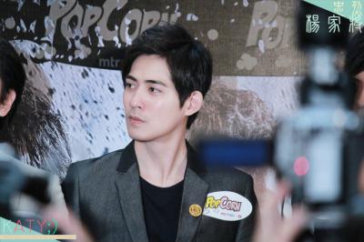 忠烈杨家将剧照的剧照