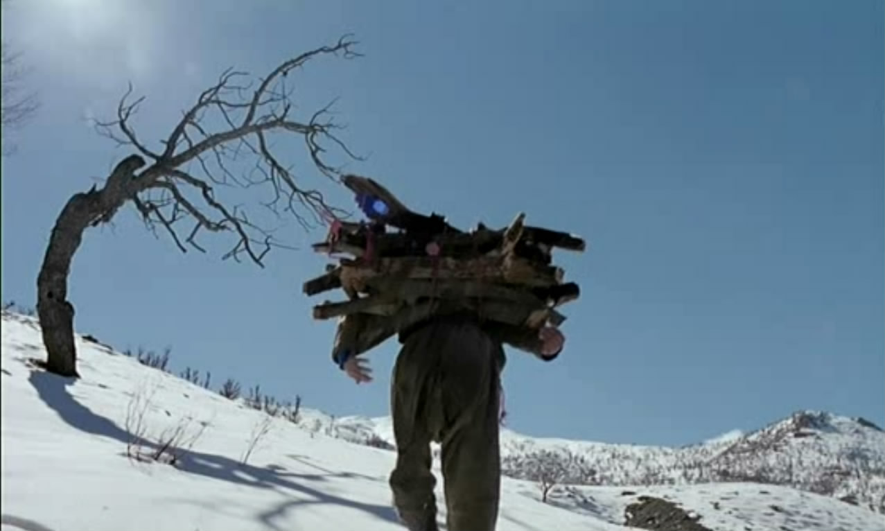 醉马时刻剧照的剧照