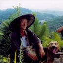 那山那人那狗剧照