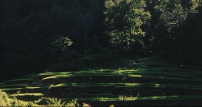 那山那人那狗剧照的剧照