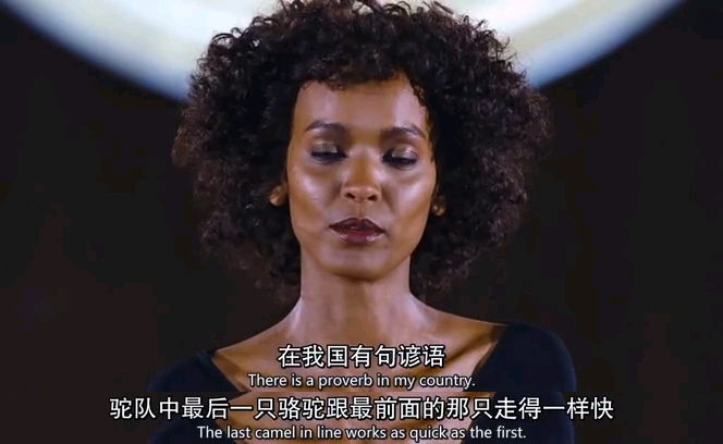 沙漠之花剧照的剧照