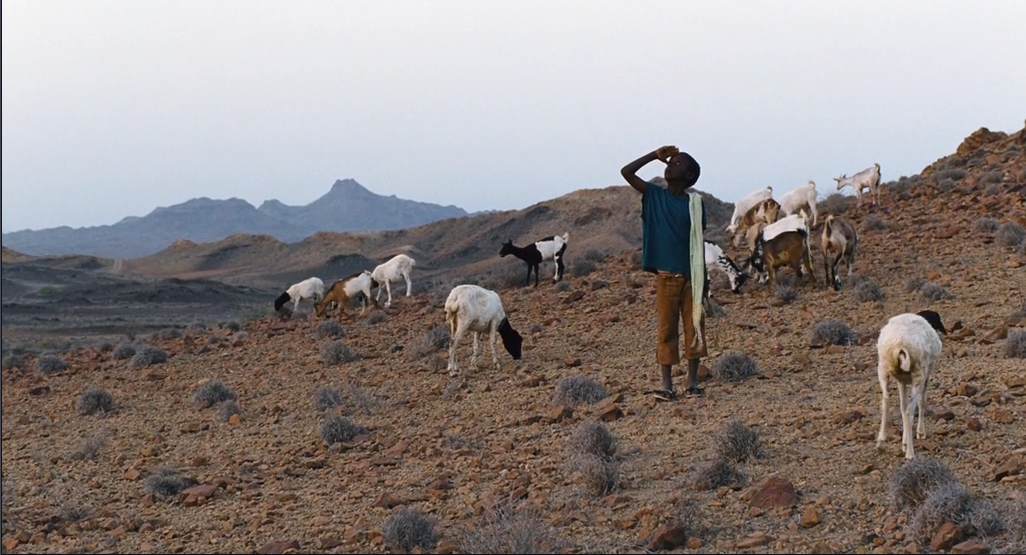沙漠之花剧照的剧照