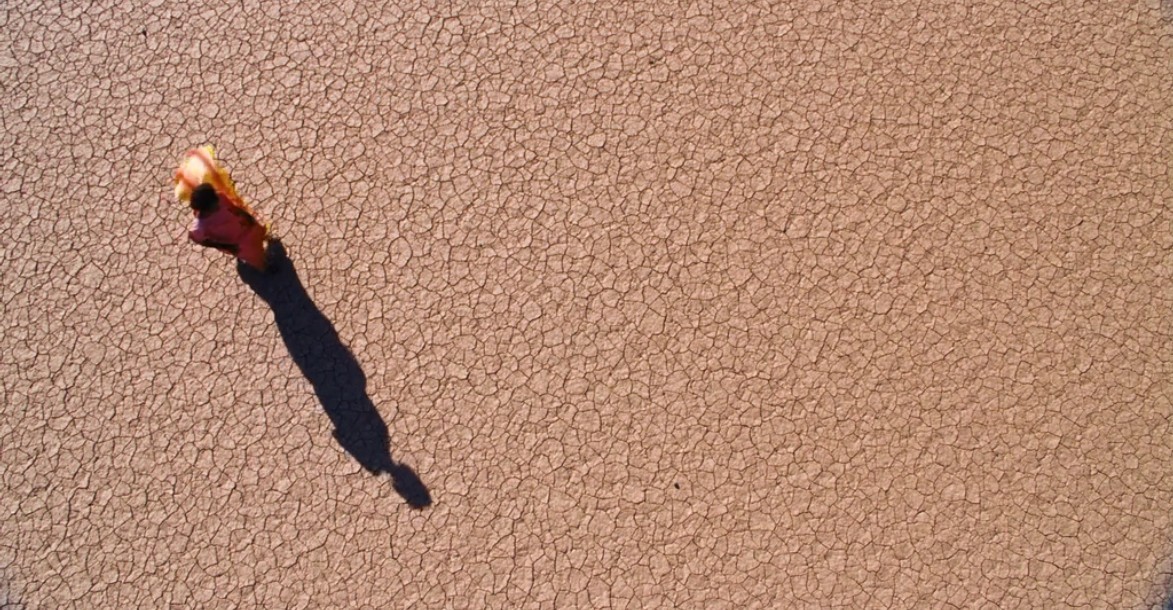 沙漠之花剧照的剧照