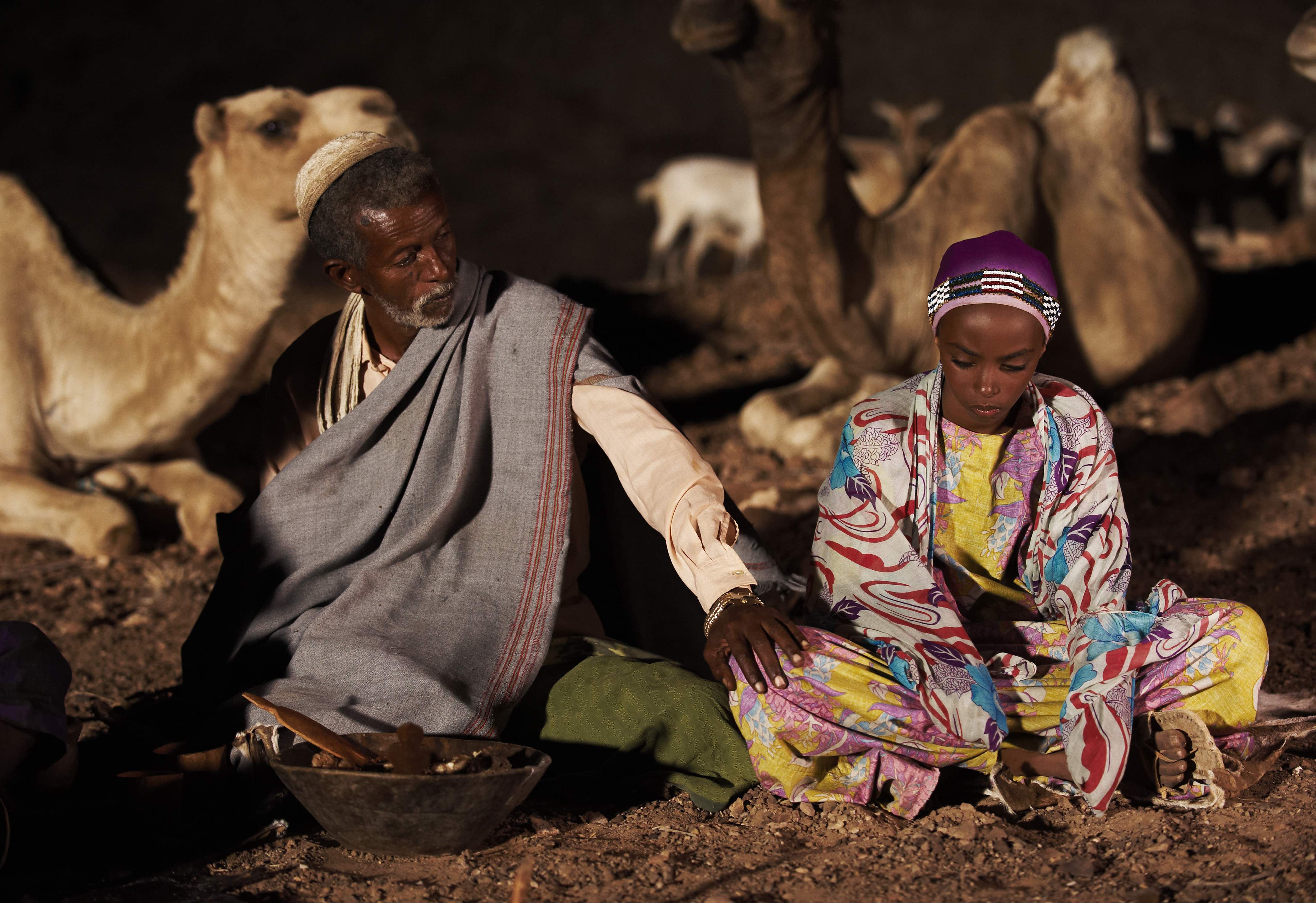 沙漠之花剧照的剧照
