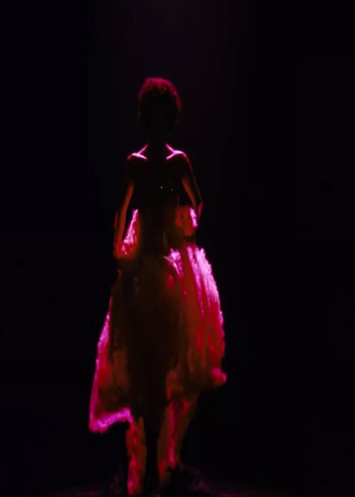 沙漠之花剧照的剧照