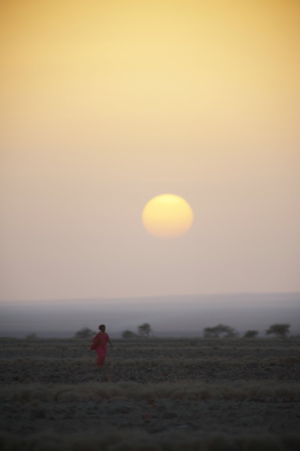 沙漠之花剧照的剧照