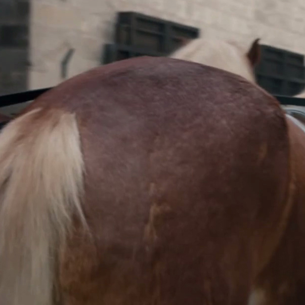 罗宾汉剧照的剧照