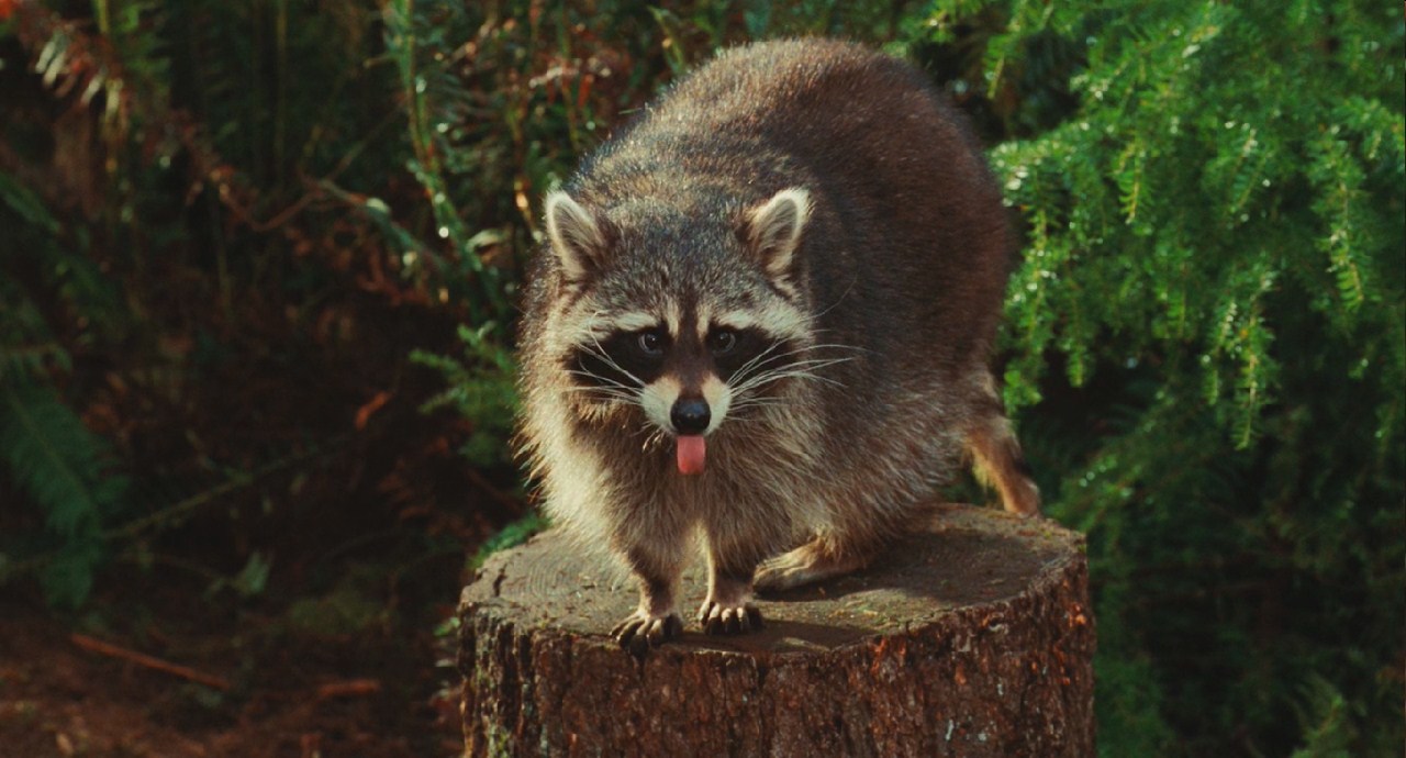 詹妮弗的肉体剧照的剧照