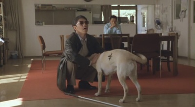 导盲犬小Q剧照的剧照