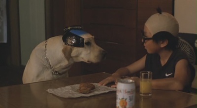 导盲犬小Q剧照的剧照