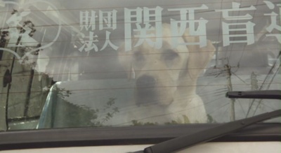 导盲犬小Q剧照的剧照