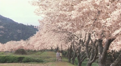 导盲犬小Q剧照的剧照