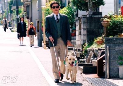 导盲犬小Q剧照的剧照