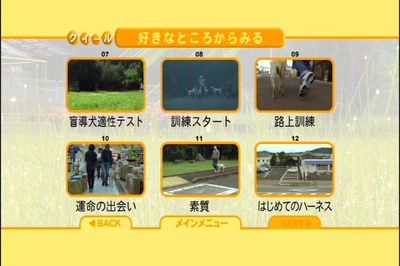 导盲犬小Q剧照的剧照