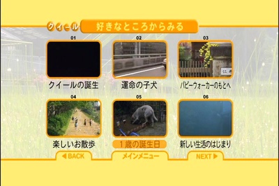 导盲犬小Q剧照的剧照