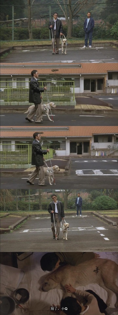 导盲犬小Q剧照的剧照