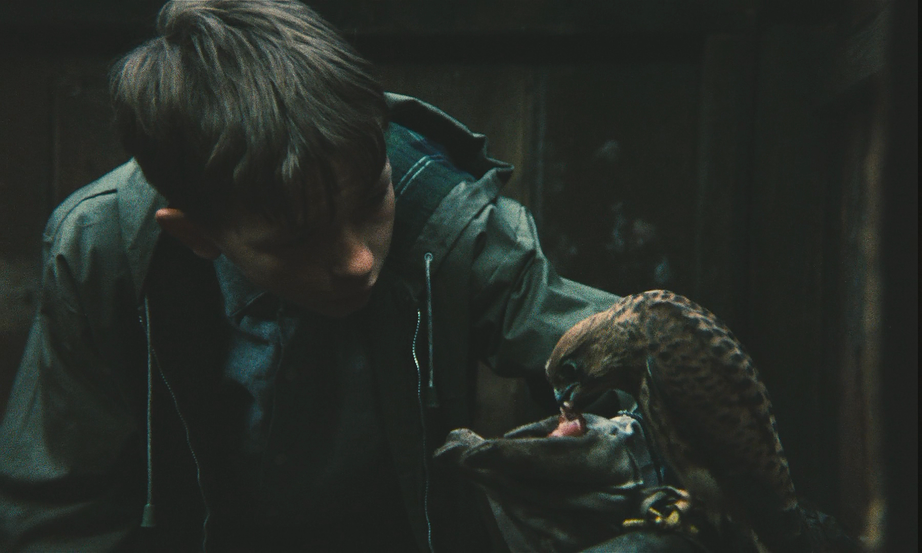 小孩与鹰剧照的剧照