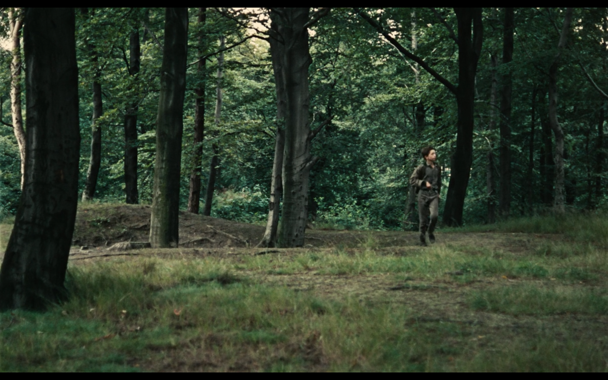 小孩与鹰剧照的剧照