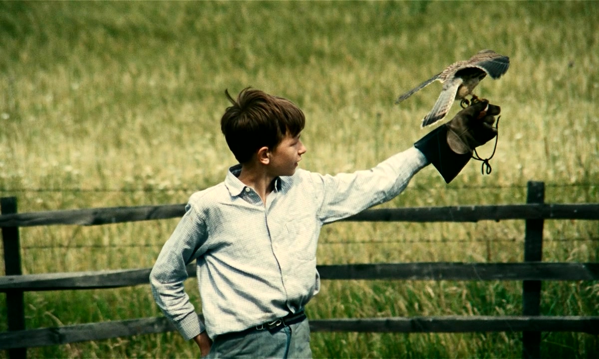 小孩与鹰剧照的剧照