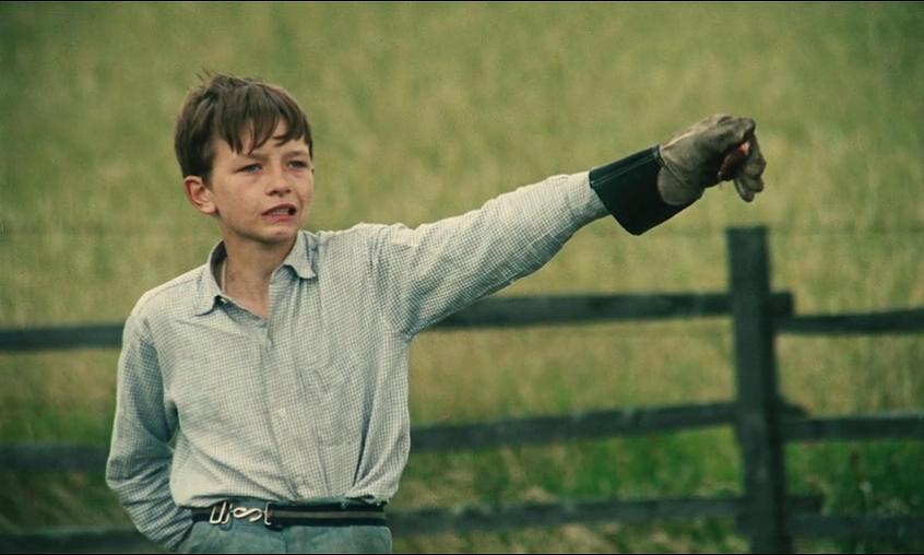 小孩与鹰剧照的剧照